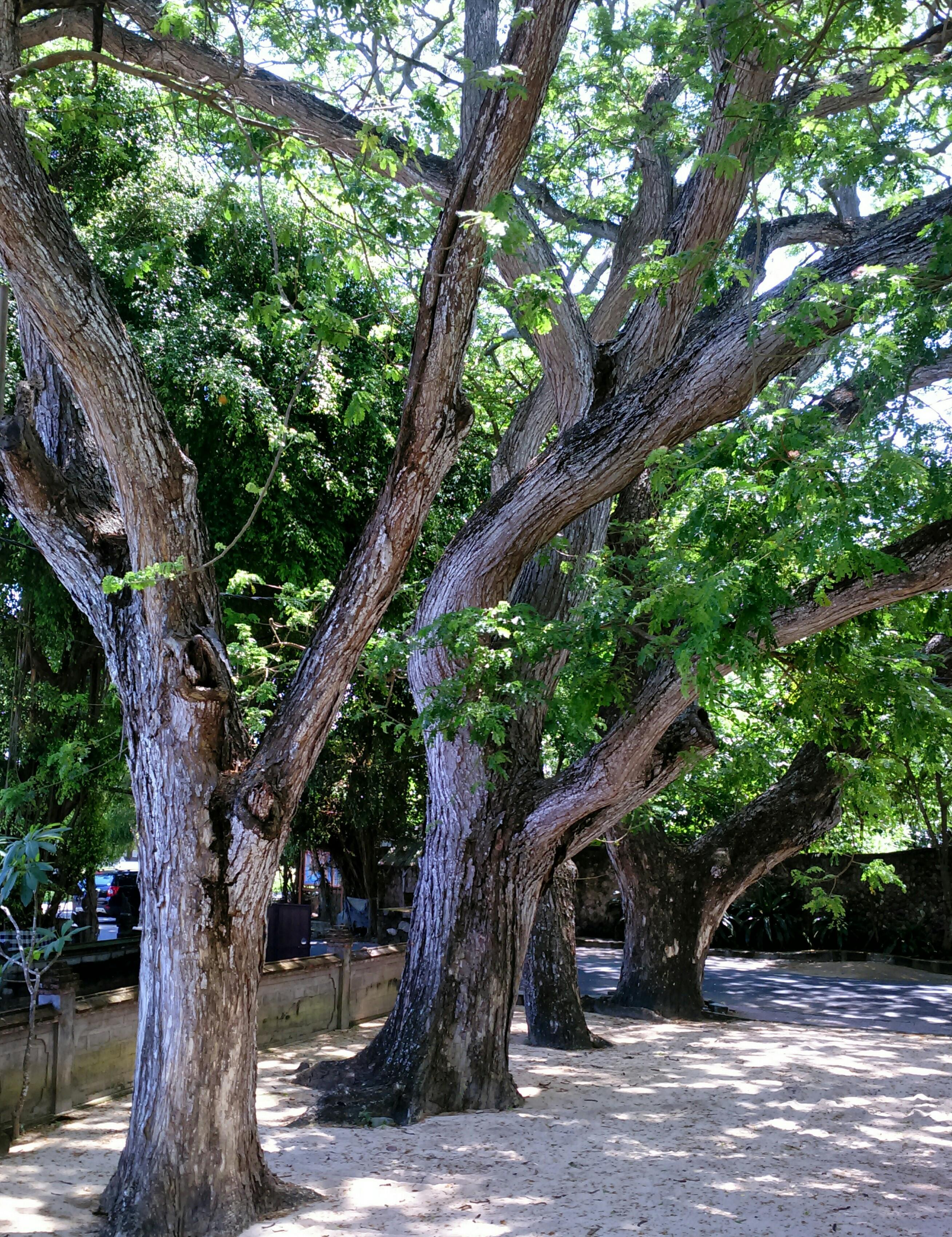 Taksu Sanur Hotel Dış mekan fotoğraf