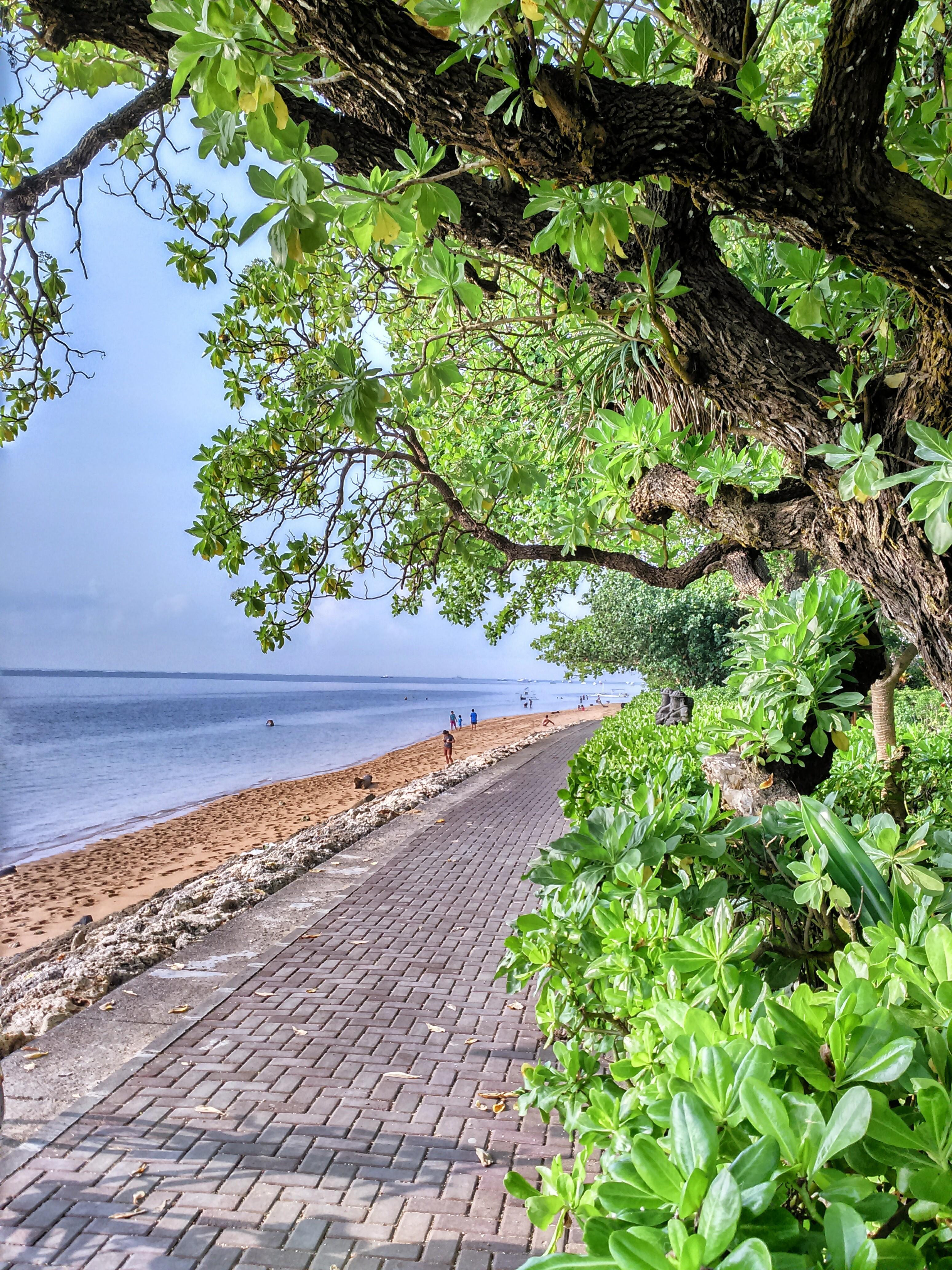 Taksu Sanur Hotel Dış mekan fotoğraf