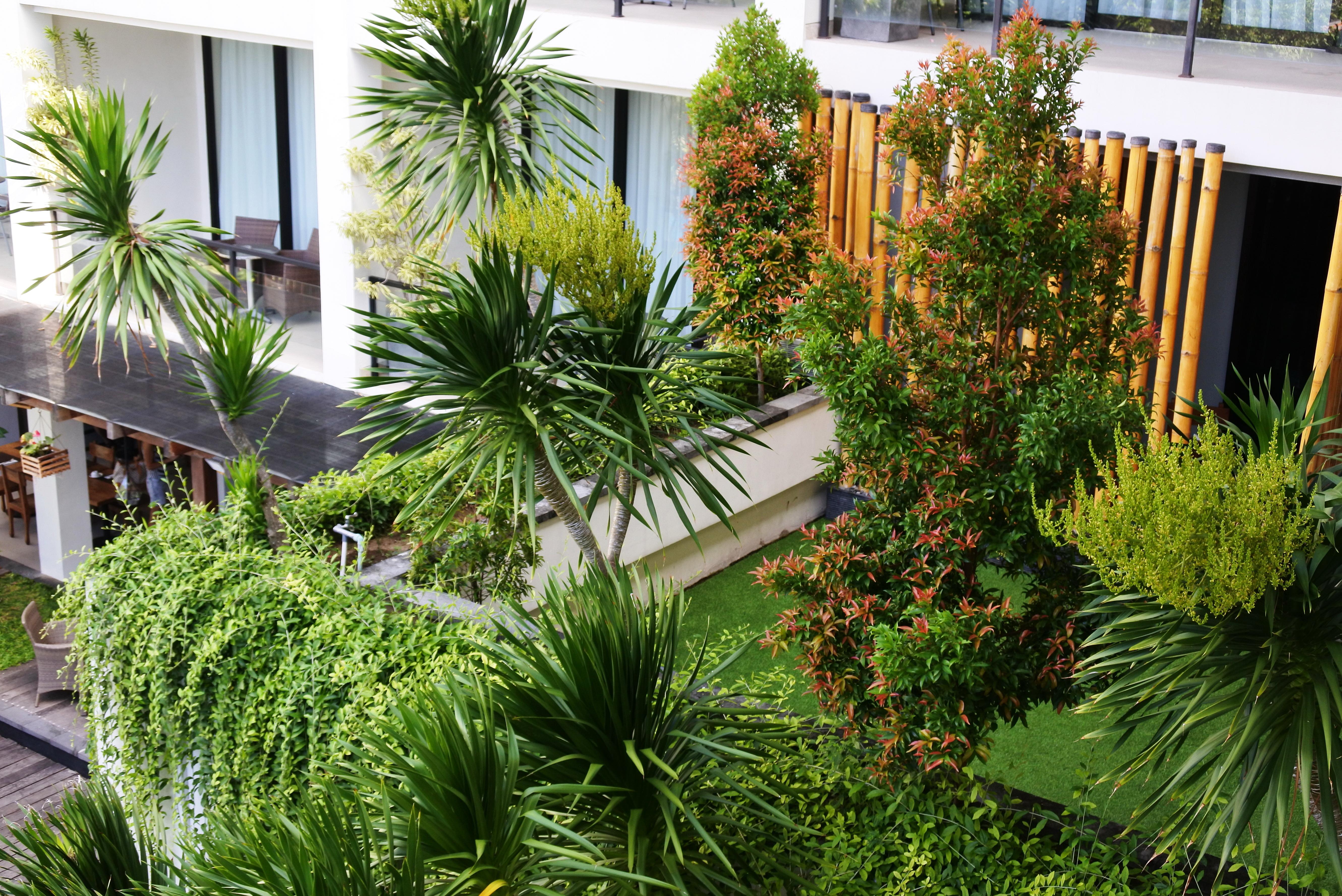Taksu Sanur Hotel Dış mekan fotoğraf